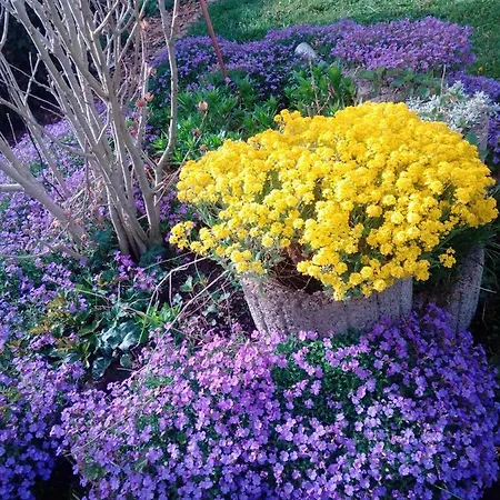 Δωμάτια σε οικογενειακή κατοικία Meyerhof Wittenweier