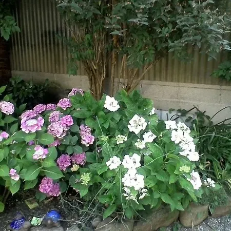 Meyerhof Wittenweier