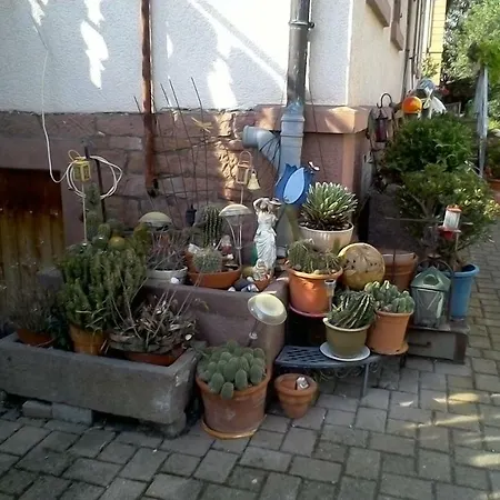 Meyerhof Wittenweier