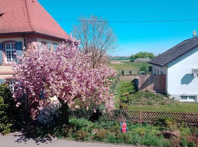 Meyerhof 民宿 Wittenweier