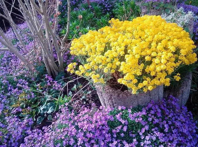 民宿 Meyerhof Wittenweier