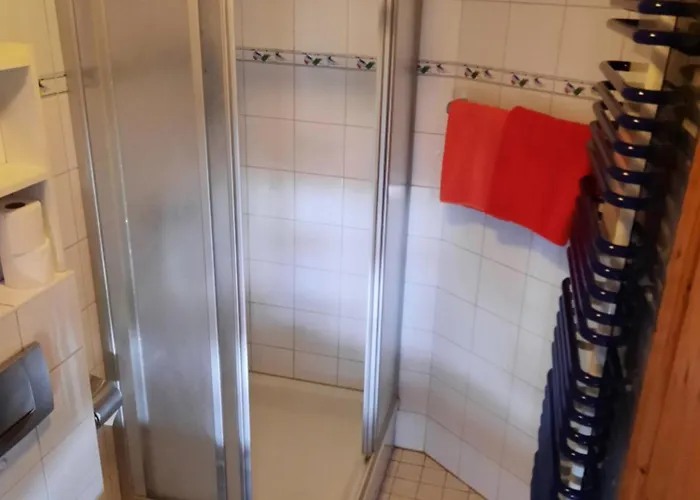 Meyerhof 民宿 Wittenweier