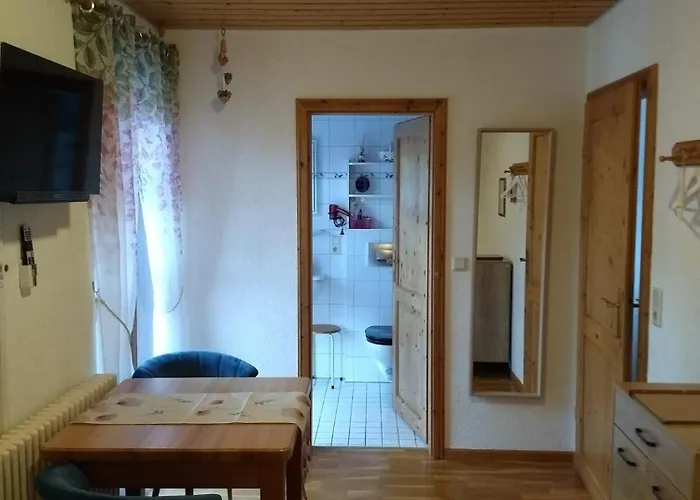 民宿 Meyerhof Wittenweier