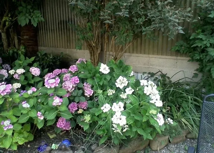 Meyerhof Wittenweier